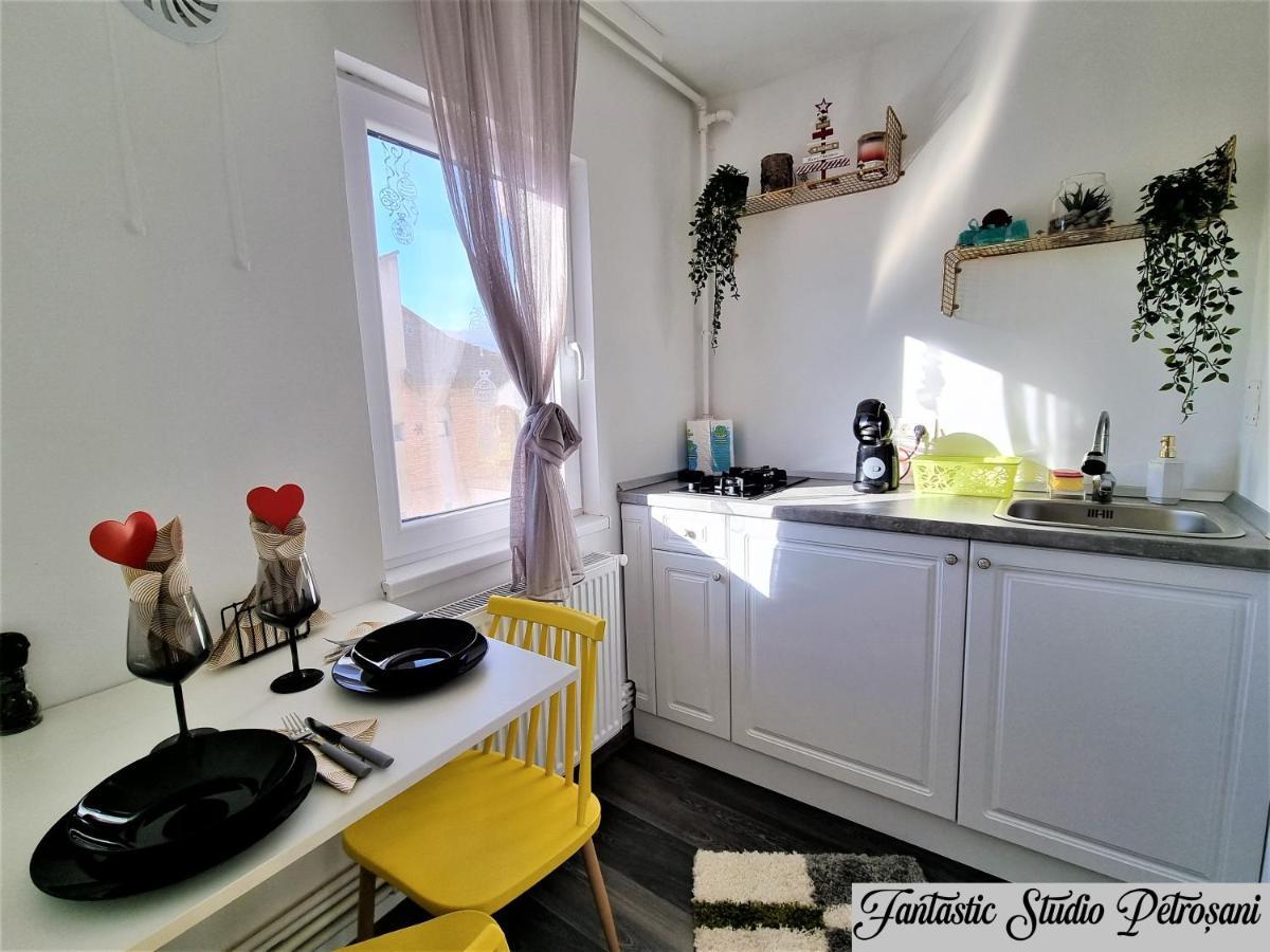 ~Fantastic Studio Petroșani~ Apartment Exterior foto